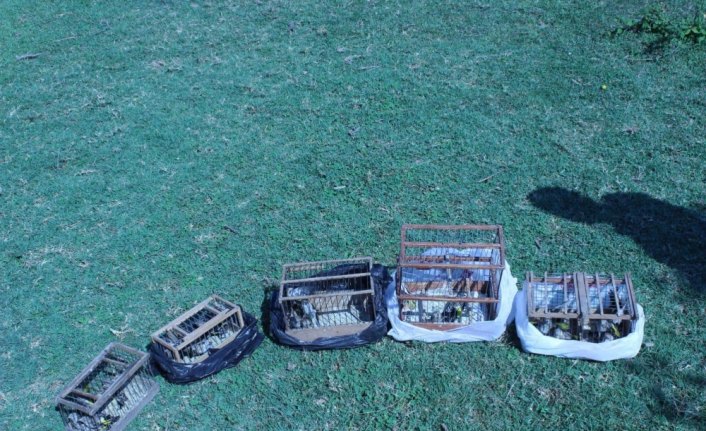 Bartın'da saka kuşu avlayan kişiye 26 bin lira ceza