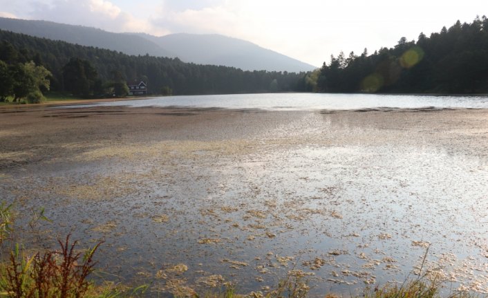 Gölcük Tabiat Parkı'nda temizlik