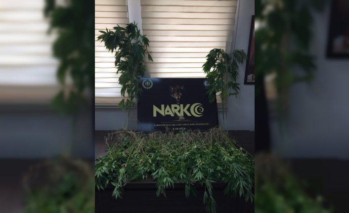 Hint keneviri yetiştiren şüpheli tutuklandı