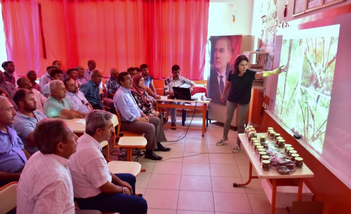 Kahramanmaraşlı fındık üreticilerine eğitim