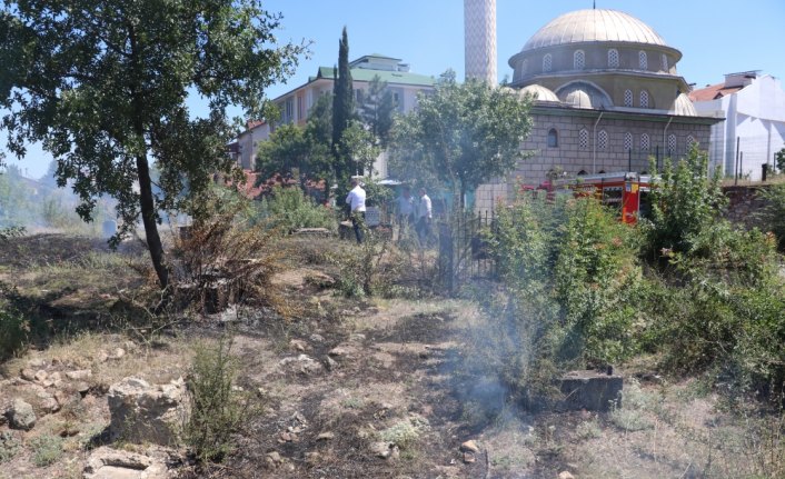 Karabük'te makilik alanda yangın