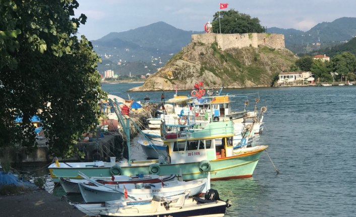 Karadenizli balıkçı palamuttan umutlu değil