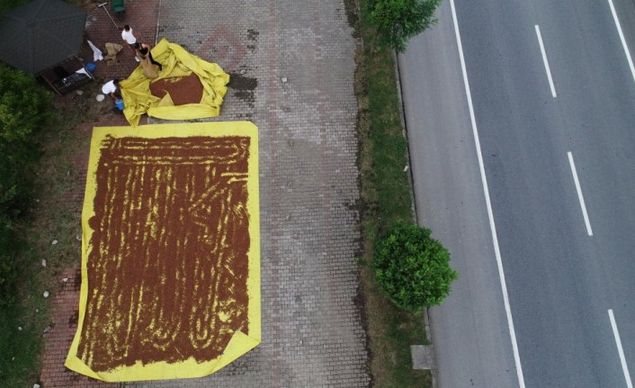 Karadenizli fındık üreticileri 