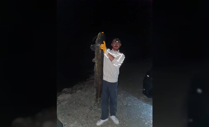 Kastamonu'da 1,2 metrelik yayın balığı yakalandı