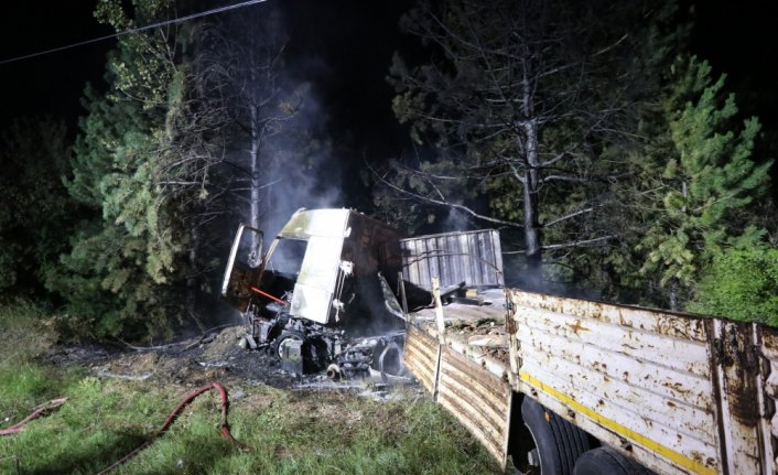 Kaza yapan tır orman yangınına neden oldu
