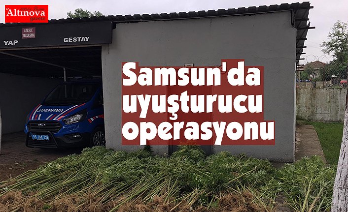 Samsun'da uyuşturucu operasyonu