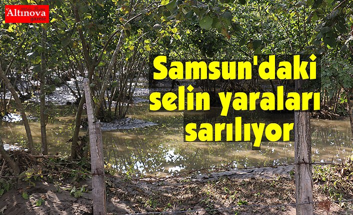 Samsun'daki selin yaraları sarılıyor