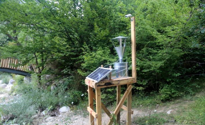 Şimşir güvesine karşı 