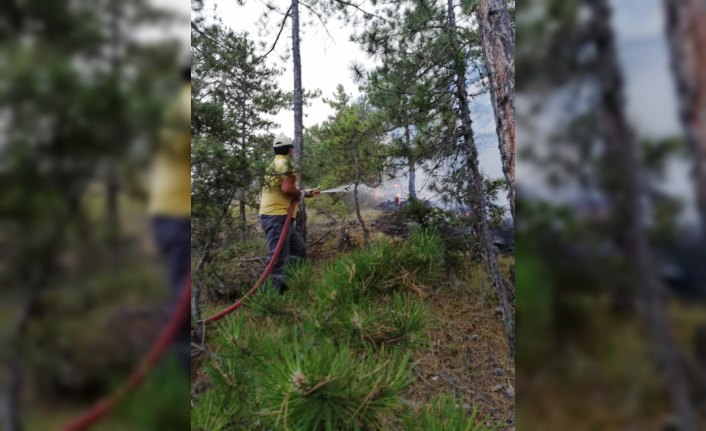 Sinop'taki orman yangını