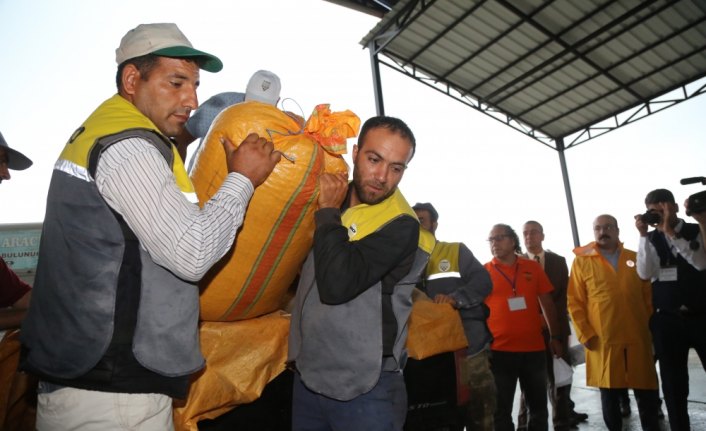 TMO fındık alımlarında yedinci kez devrede