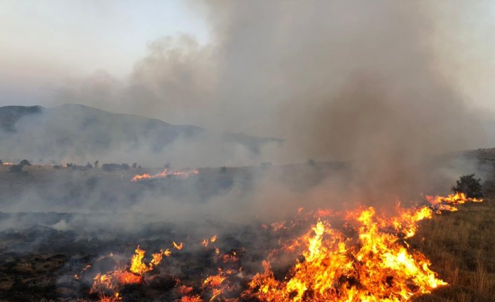 Tokat'ta tarla yangını