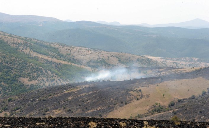 Tokat'taki tarla yangını söndürüldü