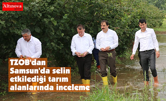 TZOB'dan Samsun'da selin etkilediği tarım alanlarında inceleme