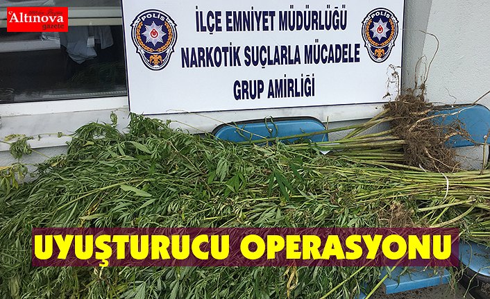 Uyuşturucu operasyonu