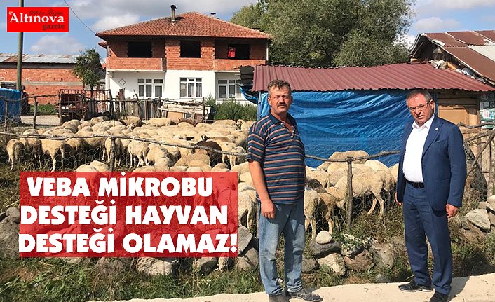 VEBA MİKROBU DESTEĞİ HAYVAN DESTEĞİ OLAMAZ!