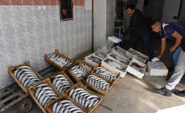 Balıkçı palamut umudunu deniz suyunun soğumasına bağladı