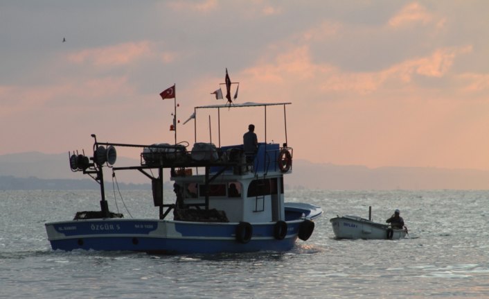 Balıkçıların yüzü tekirle güldü