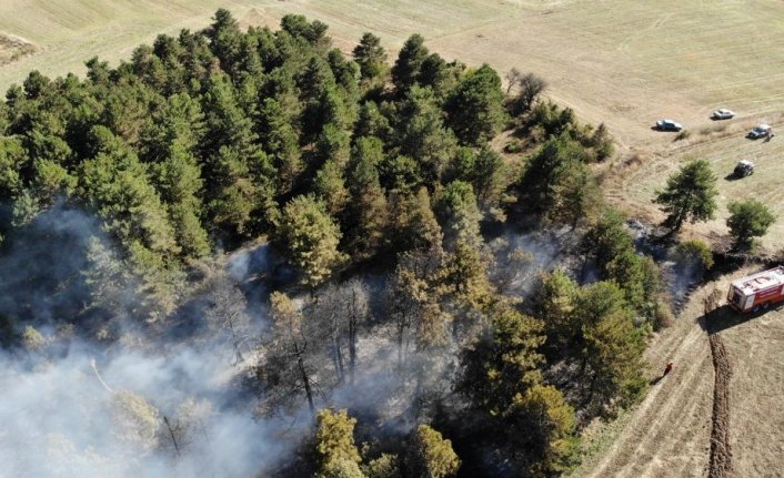 GÜNCELLEME - Bolu'daki orman yangını