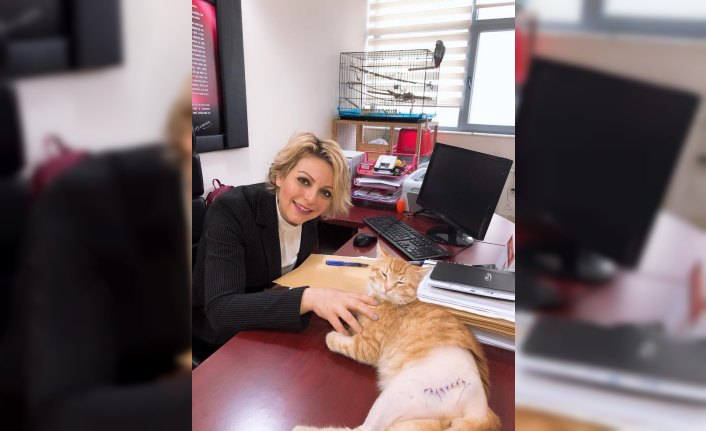 Makamında sokak hayvanı besleyen kişiye 