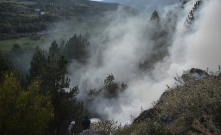Mengen'de çöplük yangını