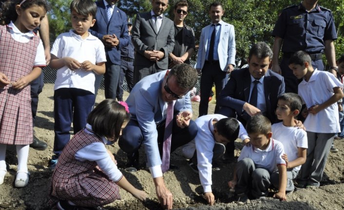 Minik eller safranı toprakla buluşturdu