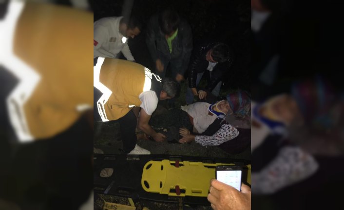 Ordu'da tarım aracı devrildi: 2 yaralı