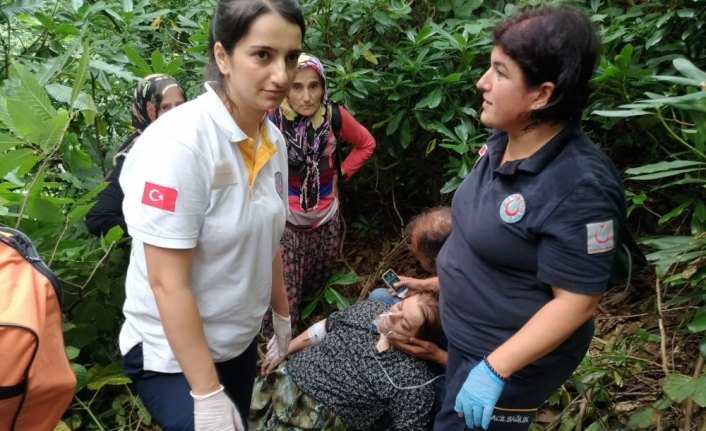 Ormanda arının soktuğu kadın kurtarıldı