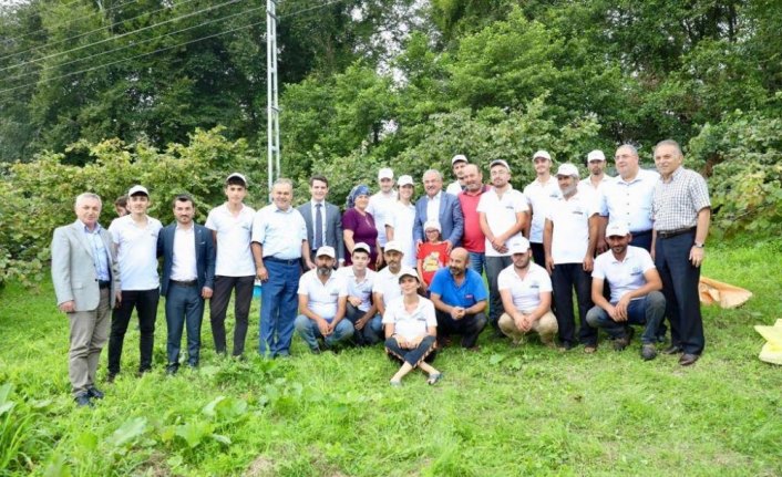 Sigortalı fındık işçileri olumlu sonuç verdi