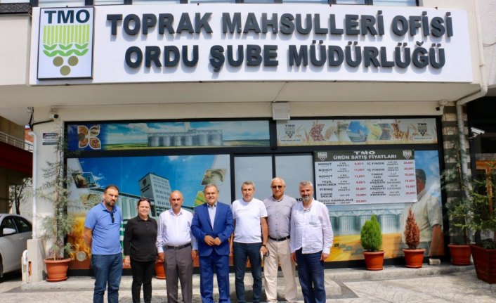 TMO, Ordu'da 3 bin tona yakın fındık aldı