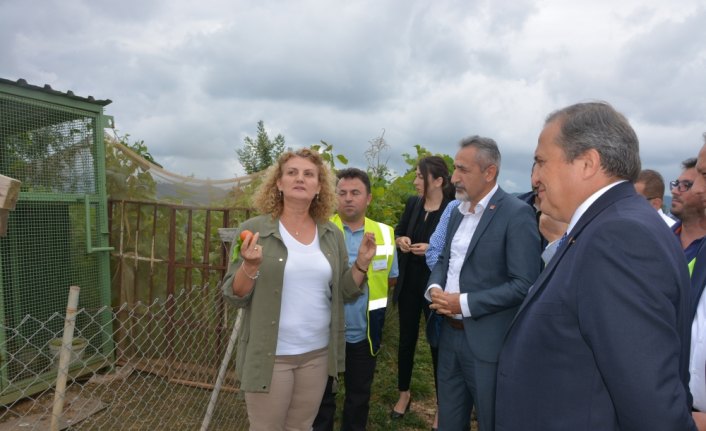 Torun, Ordu'daki maden sahasında incelemelerde bulundu