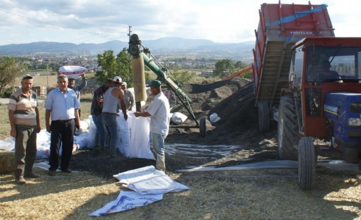 Vezirköprü'de ayçiçeği alımı