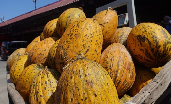Yaş meyve sebze ihracatında lider Rusya