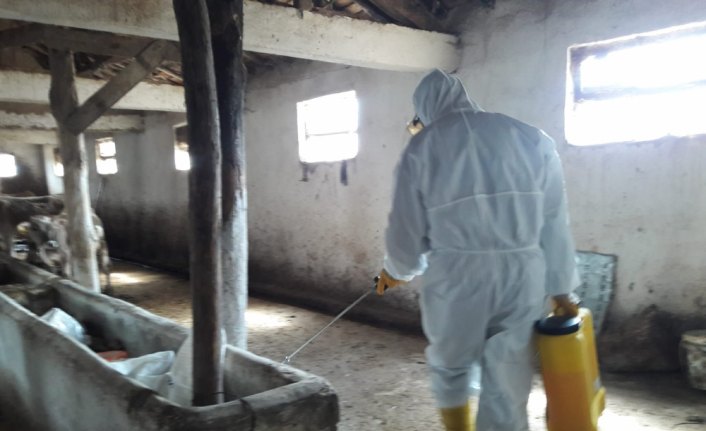 Yeşilyurt'ta ahırlar dezenfekte ediliyor