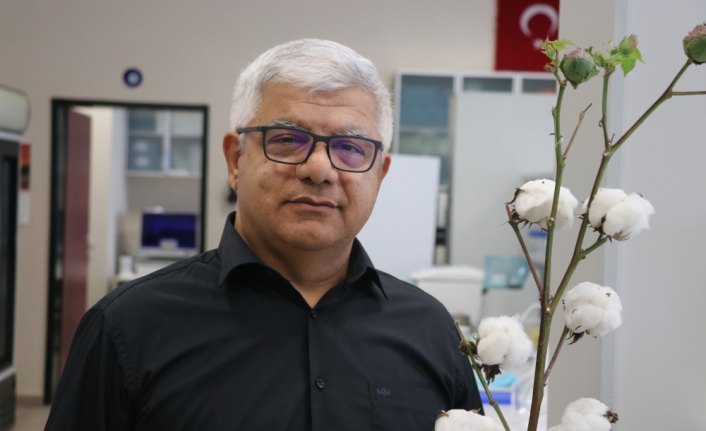 Az su isteyen pamukla üretimi artırma hedefi