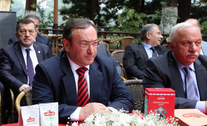 ÇAYKUR bu yıl 750 bin ton yaş çay aldı