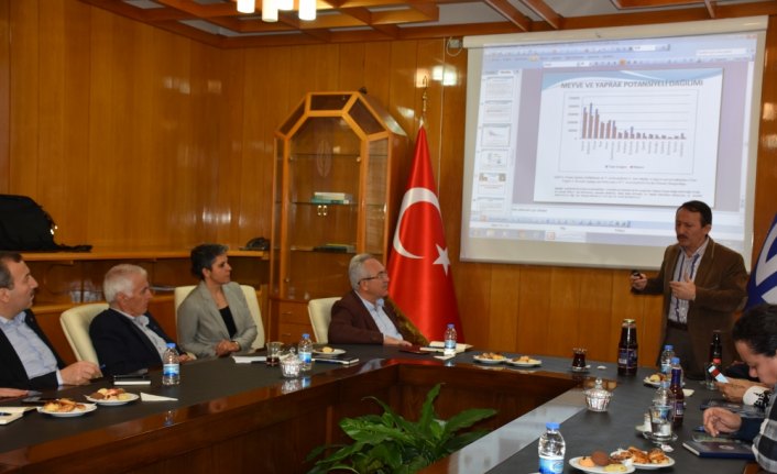 Doğu Karadeniz'de aromatik bitkilerle ilgili çalışma yapıldı