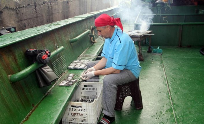 Hamsinin en tazesini onlar yiyor