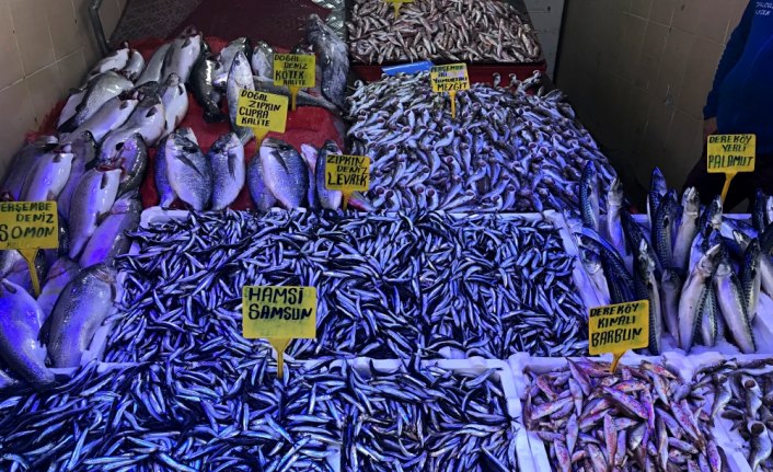 Karadeniz'de hamsi fiyatı düştü