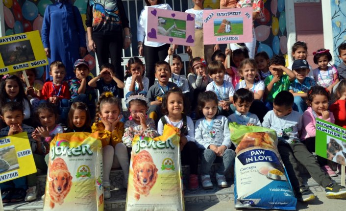 Minikler sokak hayvanları için kermes düzenledi