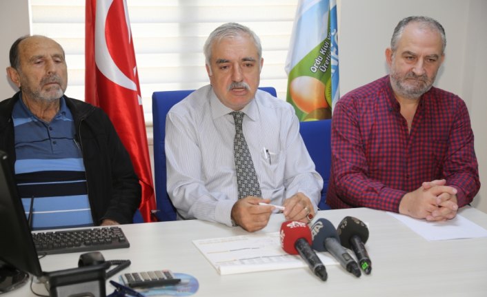 Ordu'da kivi satış fiyatı belirlendi