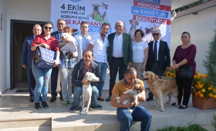 Sahipli kedi ve köpekler için aşı kampanyası