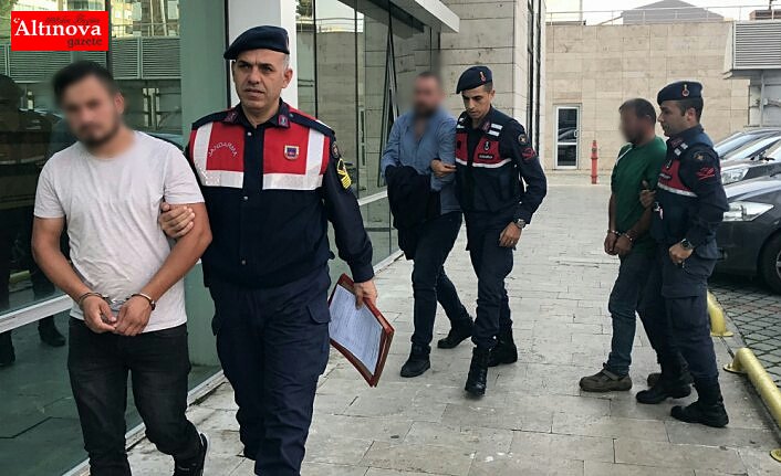 Samsun'da hayvan hırsızlığı iddiası