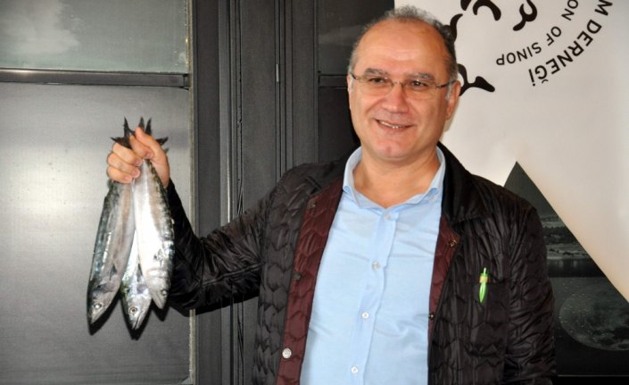 Sinop'ta 2. Lakerda Festivali düzenlenecek