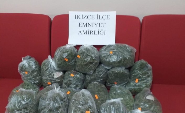 Uyuşturucuyu arı kovanına saklamış