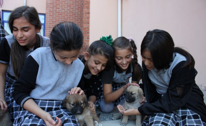 Yaptıkları iş küçük kalpleri büyük