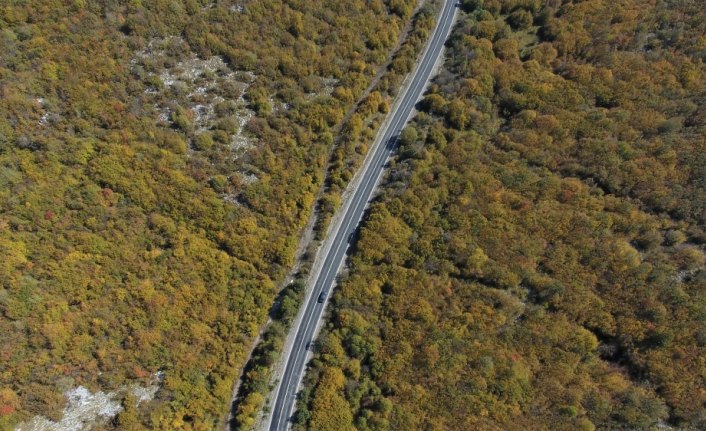Yaralıgöz Geçidi'nde sonbahar renkleri