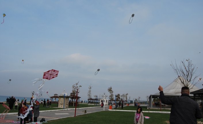 Alaplı'da uçurtma şenliği