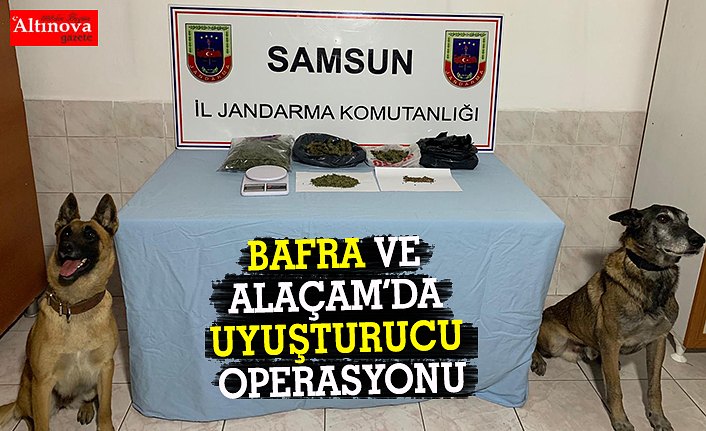 BAFRA VE ALAÇAM’DA UYUŞTURUCU OPERASYONU