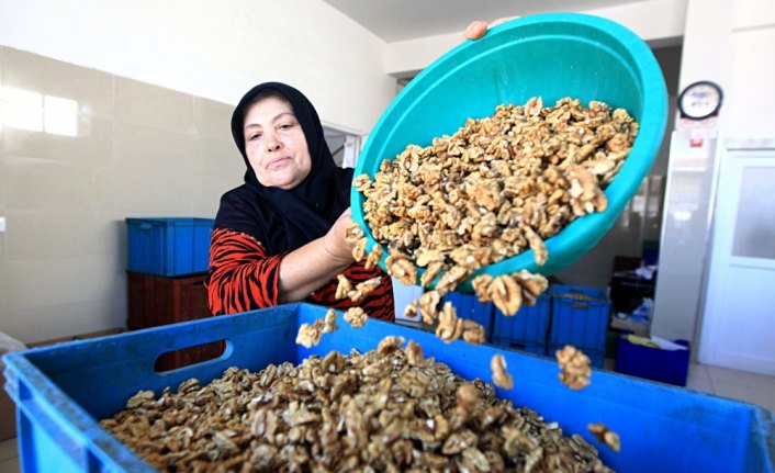 Ceviz kırarak başladı, kadınlara iş kapısı açtı