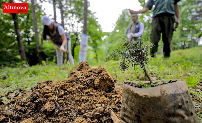 Cumhurbaşkanı Erdoğan 11 Kasım'ı 'Milli Ağaçlandırma Günü' ilan etti